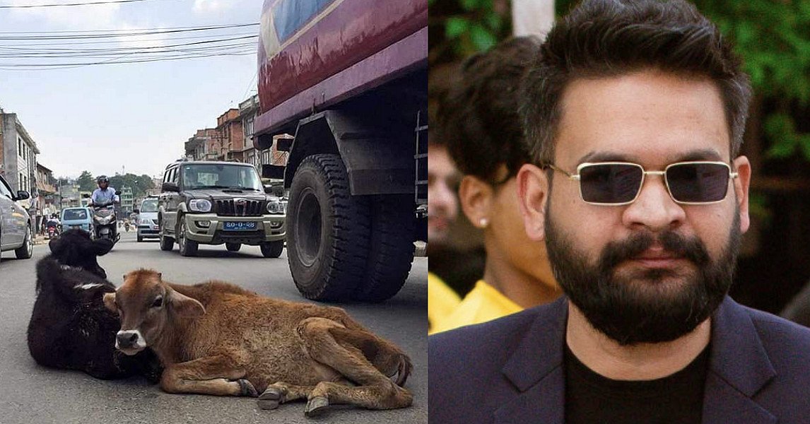 सडकमा भेटिएका पशुचौपयालाई काञ्जी हाउस लैजान्छौ : मेयर बालेन